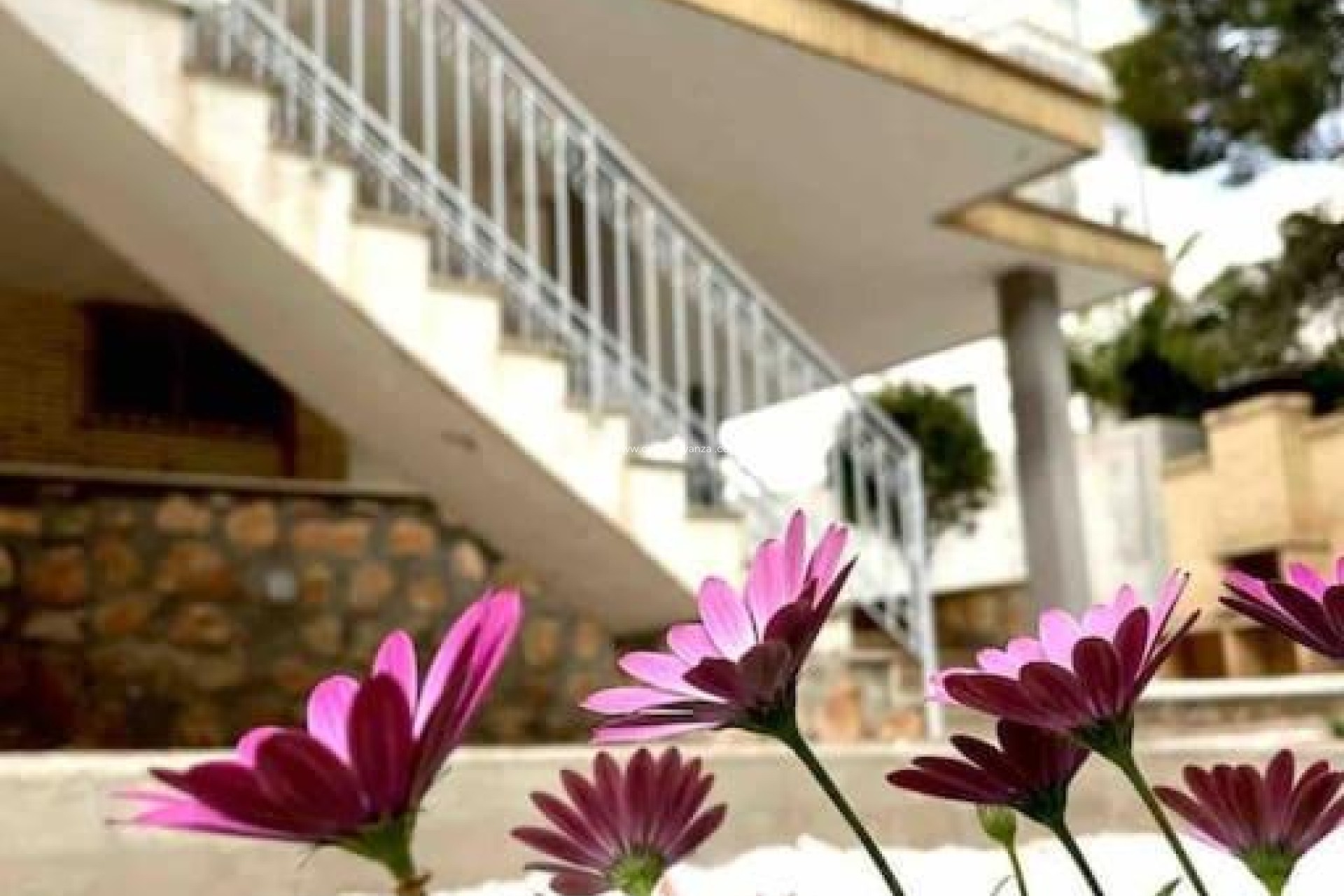 Herverkoop - Villa - Orihuela Costa - Campoamor