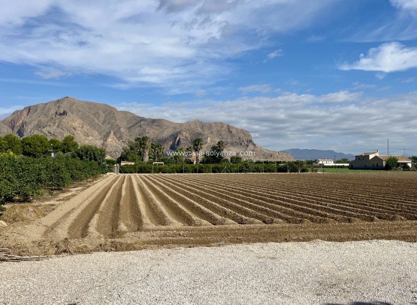 Herverkoop - Villa - Orihuela
