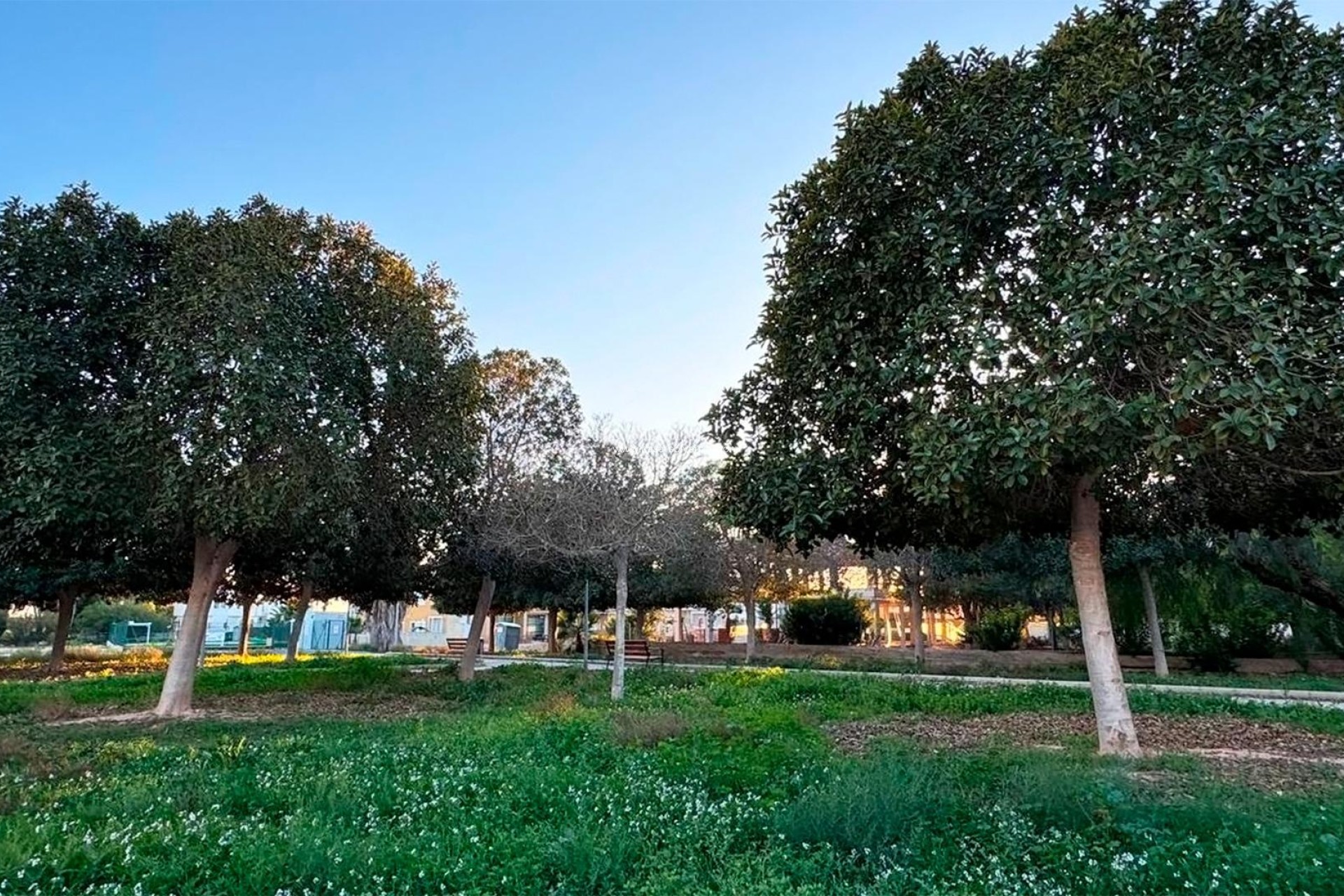 Herverkoop - Villa - Rojales - Ciudad Quesada