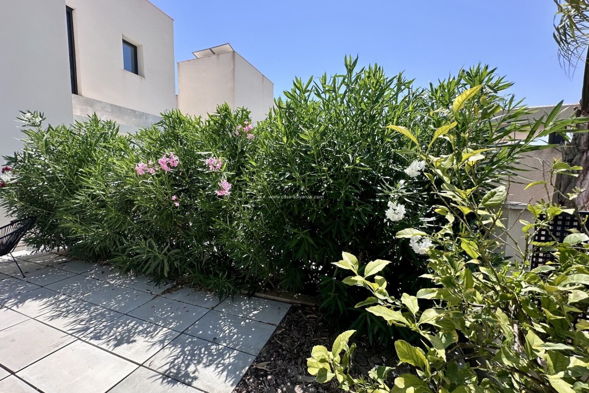 Herverkoop - Villa - Rojales Hills - Costa Blanca