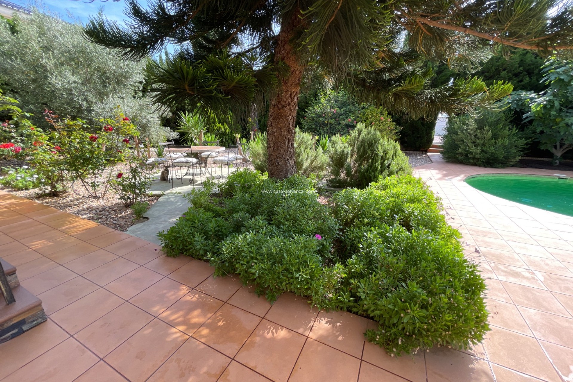 Herverkoop - Villa - Rojales - Inland