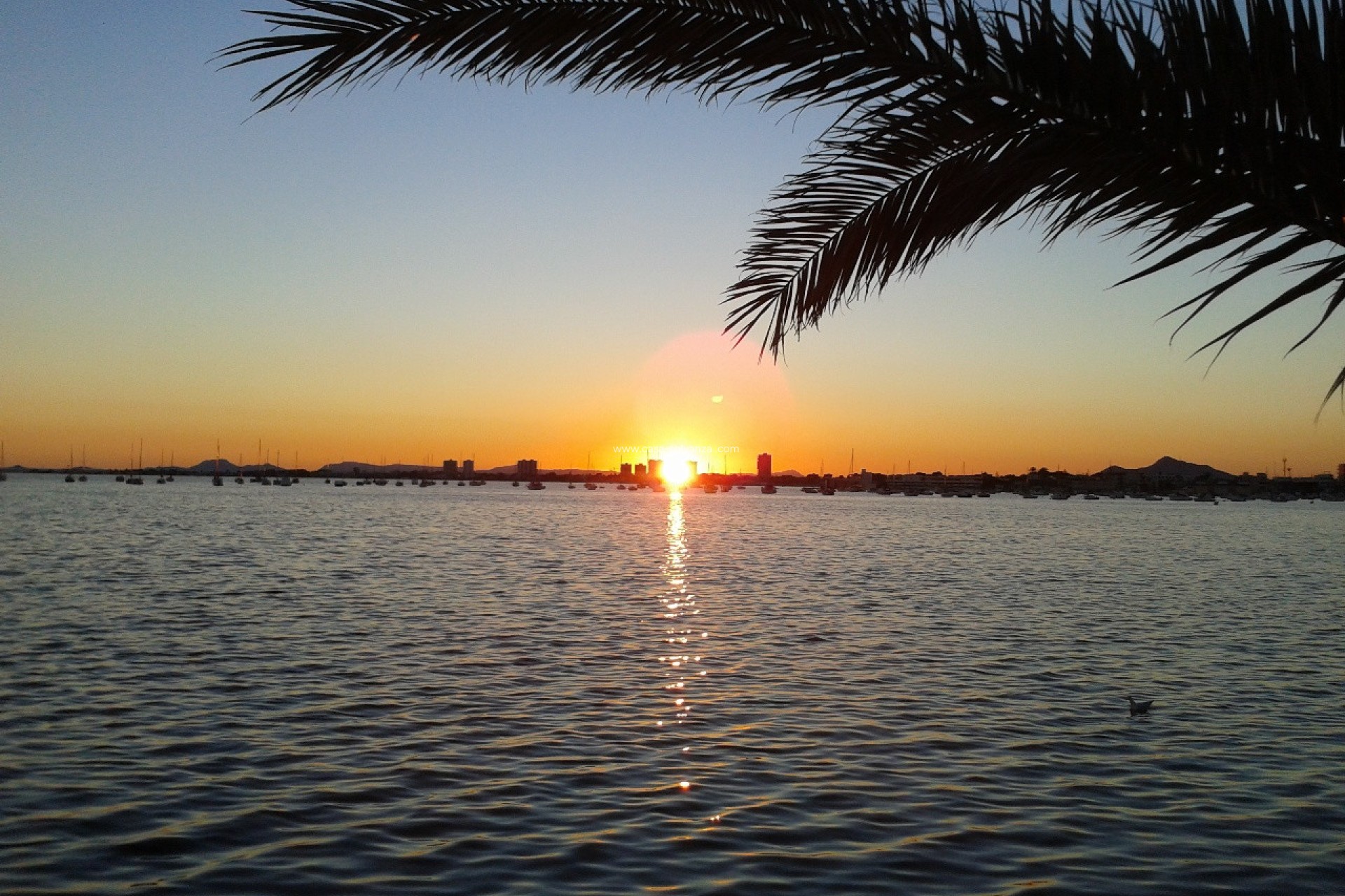 Herverkoop - Villa - Torre de la Horadada - Costa Blanca