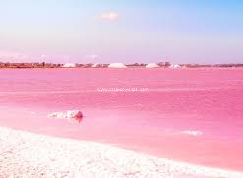 Herverkoop - Villa - Torrevieja - 0