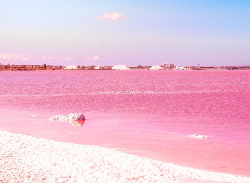 Herverkoop - Villa - Torrevieja - 0