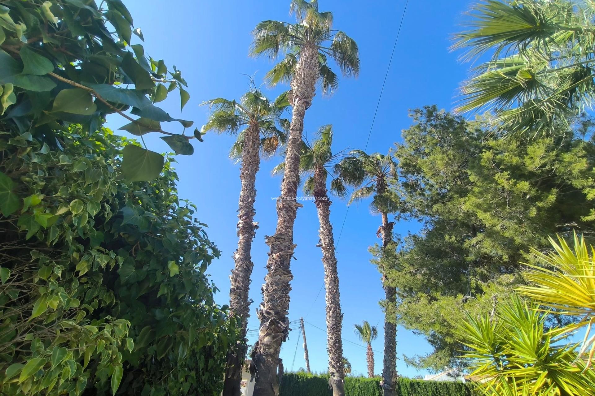 Herverkoop - Villa - Torrevieja - La Siesta