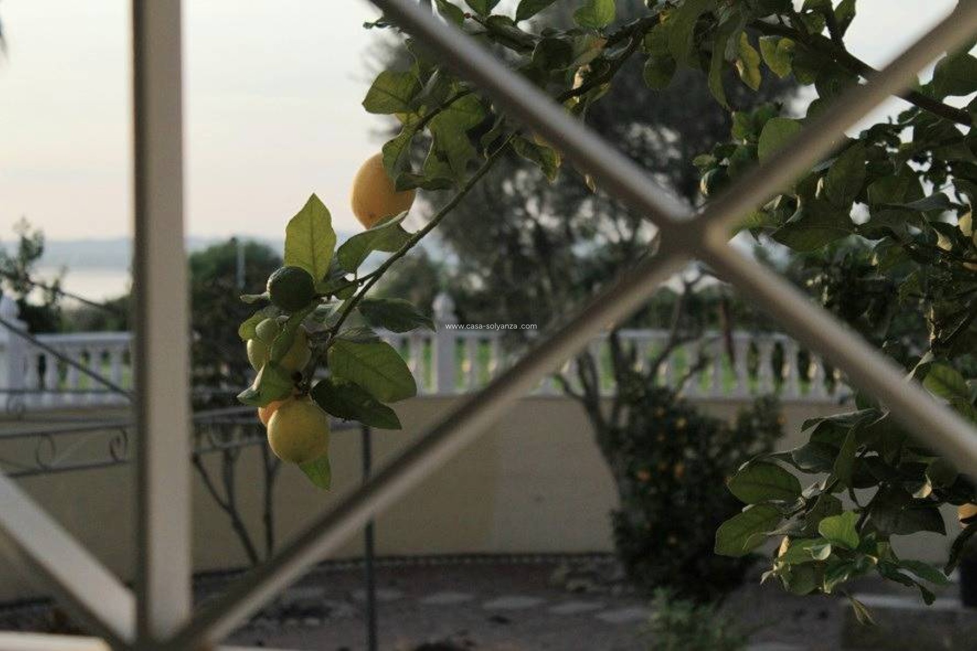 Herverkoop - Villa - Torrevieja - La Siesta