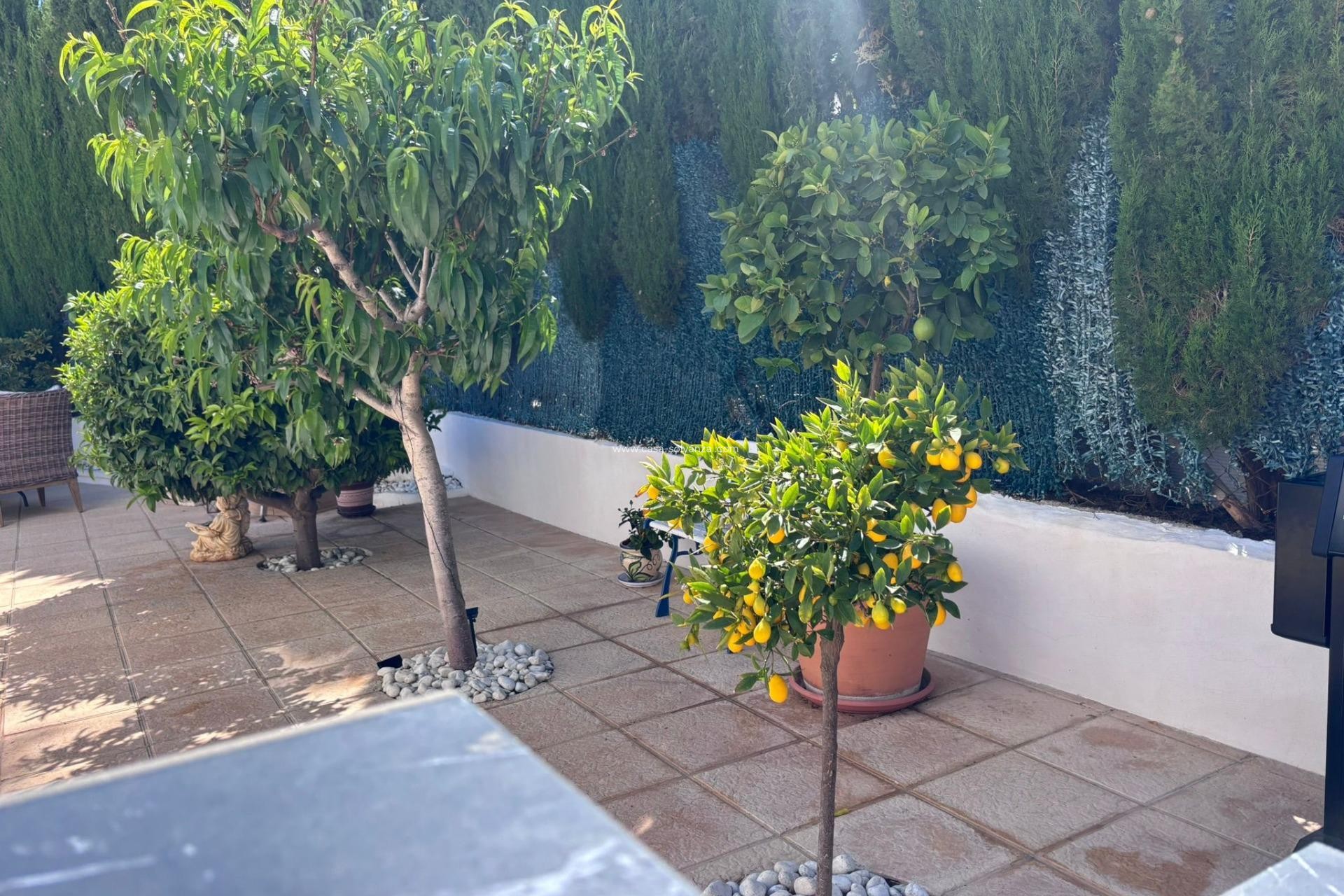 Herverkoop - Villa - Torrevieja - Los Balcones