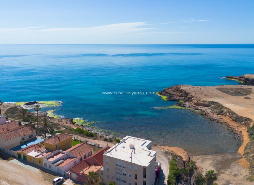 Herverkoop - Villa - Torrevieja - Rosaleda