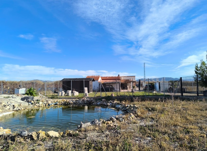 Herverkoop - Villa - Villena - Inland