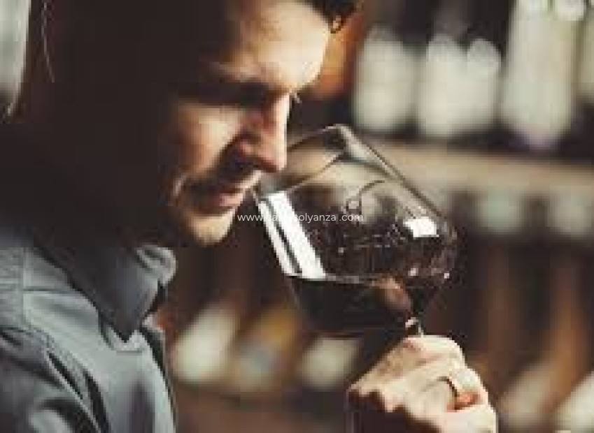 Herverkoop - wine cellar - Albacete