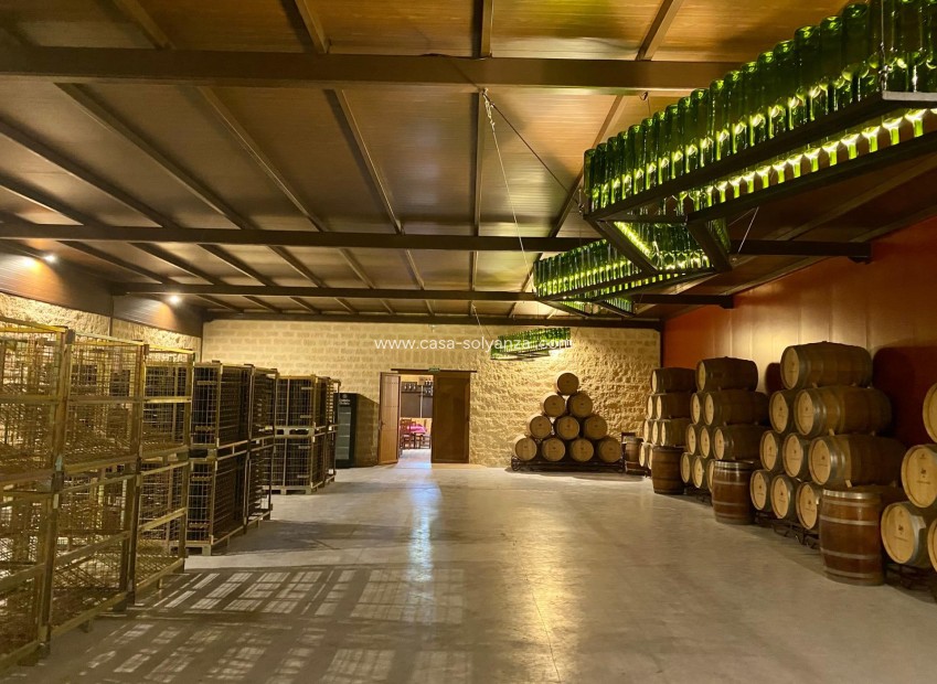 Herverkoop - wine cellar - Albacete
