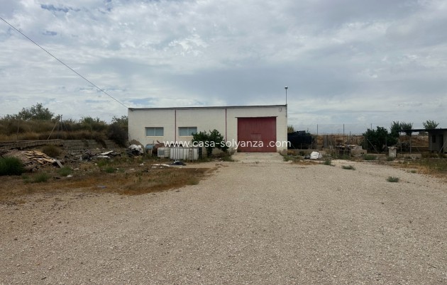 Industrial unit - Wiederverkauf - Torremendo - Torremendo