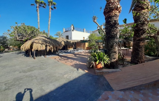 Investment project - Revente - Orihuela - Orihuela