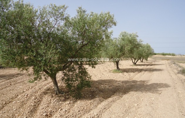 Land - Herverkoop - Canada del Trigo - CSRES-11453