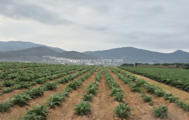 Land - Herverkoop - Hondon de las Nieves - Hondon de las Nieves