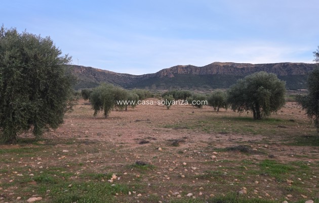 Land - Herverkoop - Jumilla - Jumilla