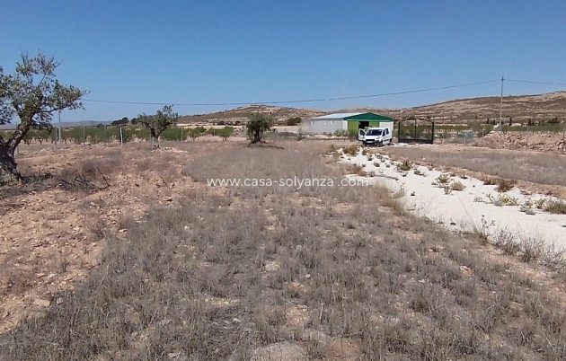 Land - Herverkoop - Jumilla - Torre del Rico