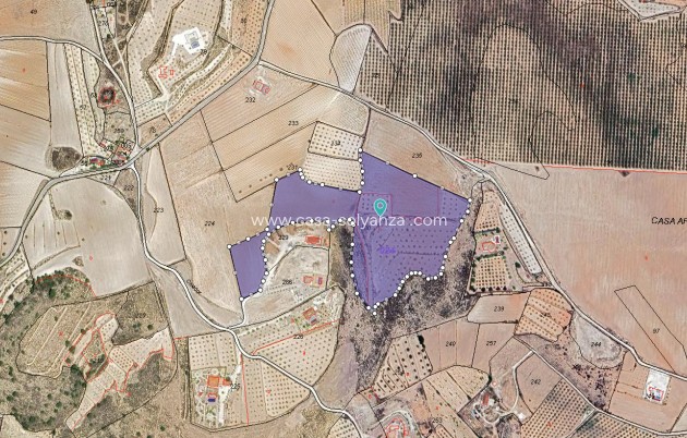 Land - Herverkoop - Pinoso - Inland