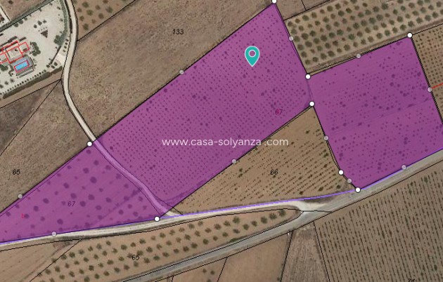 Land - Herverkoop - Pinoso - Inland