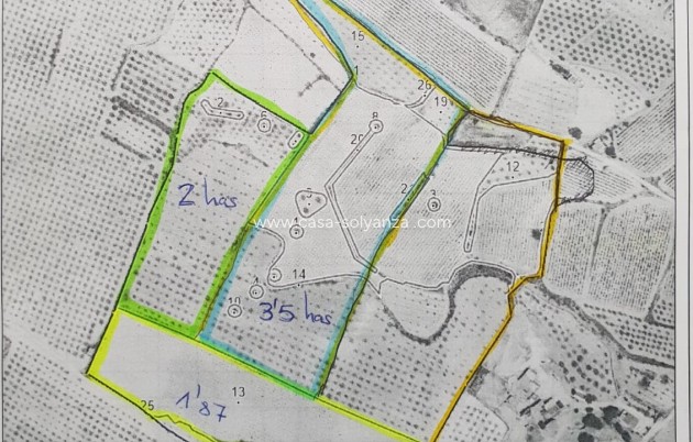 Land - Herverkoop - Pinoso - Inland