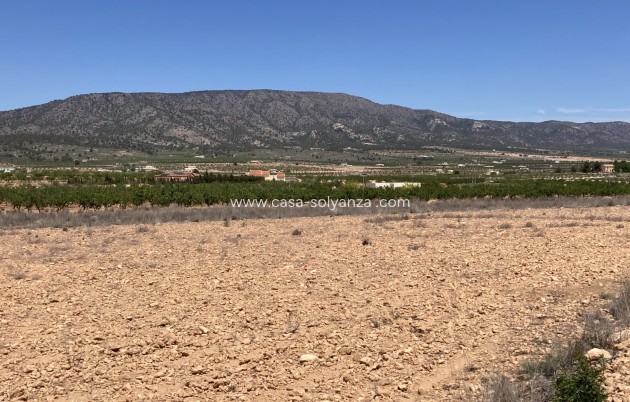 Land - Herverkoop - Pinoso - Lel