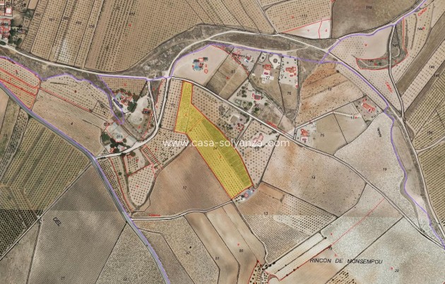 Land - Herverkoop - Pinoso (Paredon) - Pinoso (Paredon)