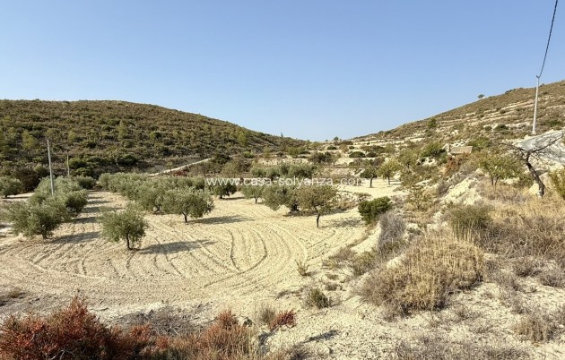 Land - Herverkoop - Relleu - Costa Blanca