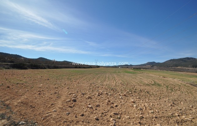 Land - Herverkoop - Salinas - Inland
