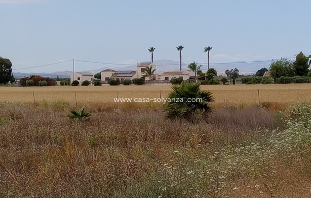 Land - Herverkoop - San Fulgencio - San Fulgencio