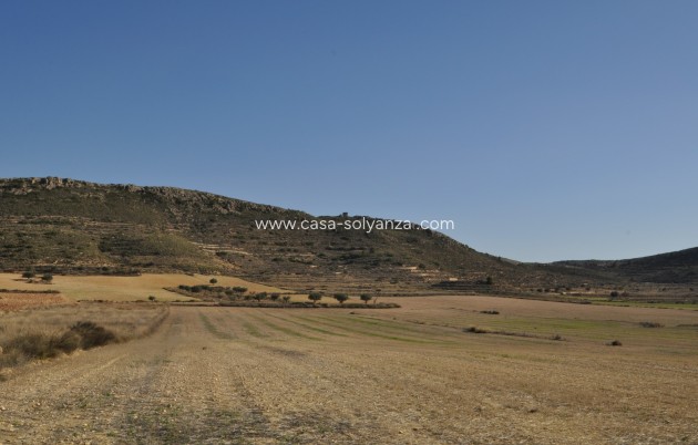 Land - Herverkoop - Torre Del Rico - Inland