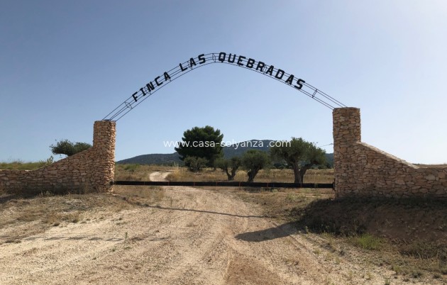 Land - Herverkoop - Yecla - Inland