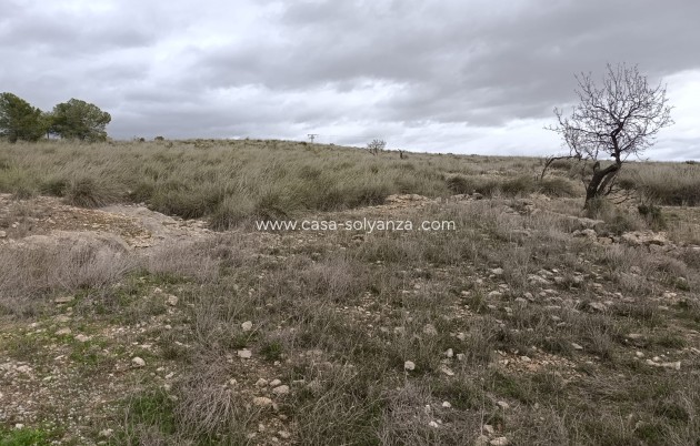 Land - Resale - Abanilla - Abanilla