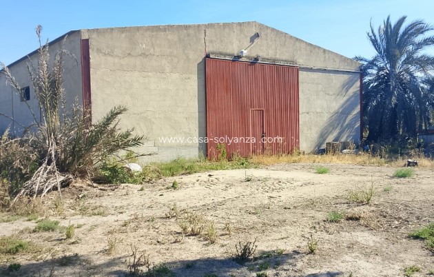 Land - Resale - Alicante>Crevillente - 0