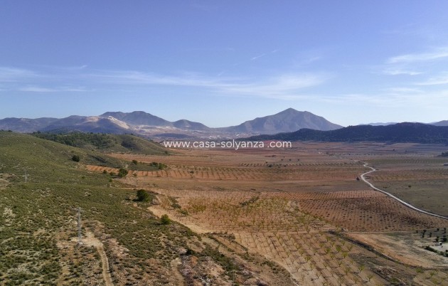 Land - Resale - Canada del Trigo - Inland