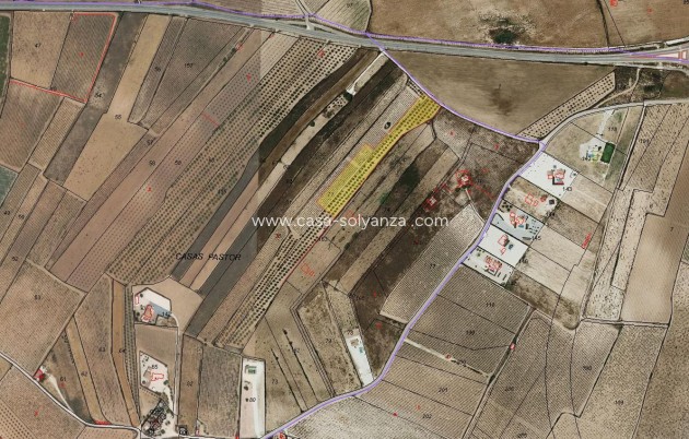 Land - Resale - Casas Pastor (Pinoso) - Casas Pastor (Pinoso)