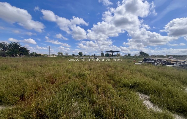 Land - Resale - Catral - Costa Blanca
