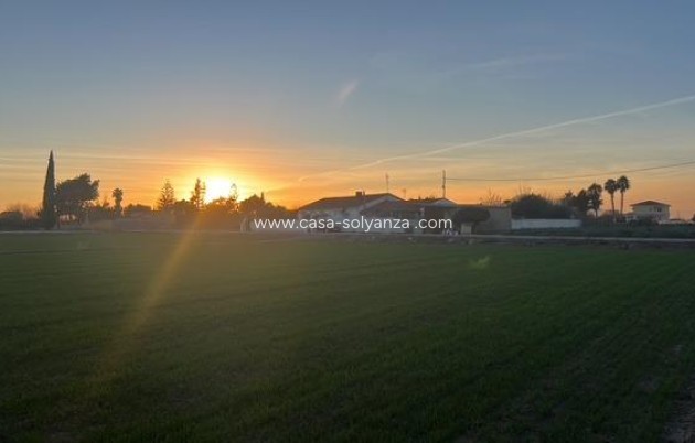 Land - Resale - Dolores - Comunidad Valenciana