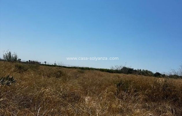 Land - Resale - Elche - Costa Blanca