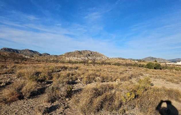 Land - Resale - Elda - CSRES-47106