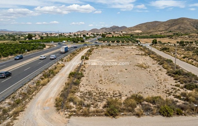 Land - Resale - JAVALI NUEVO - Javalí Nuevo