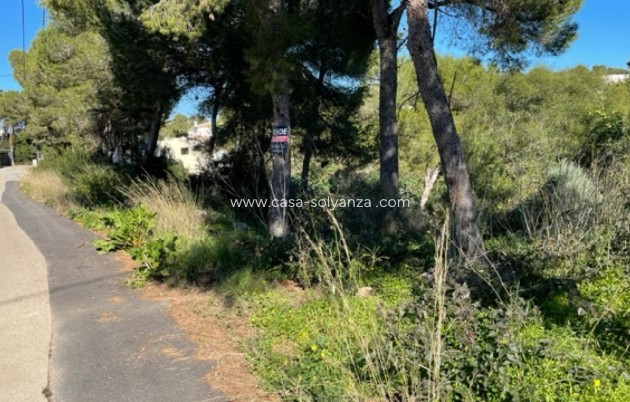 Land - Resale - Jávea - Xàbia - Jávea - Xàbia Centro