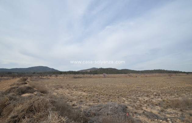 Land - Resale - Monóvar - Inland