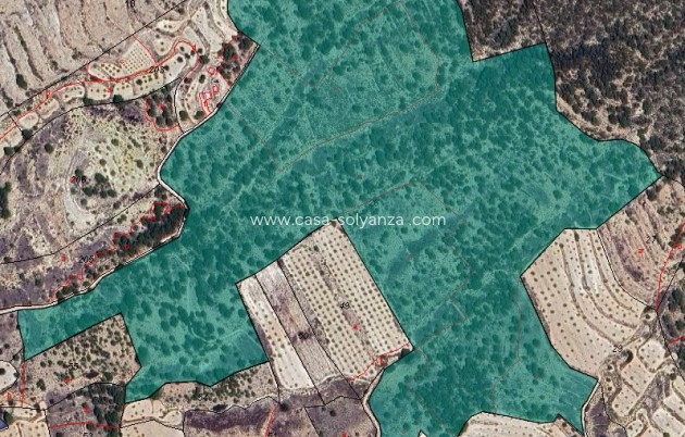 Land - Resale - Monóvar - Inland