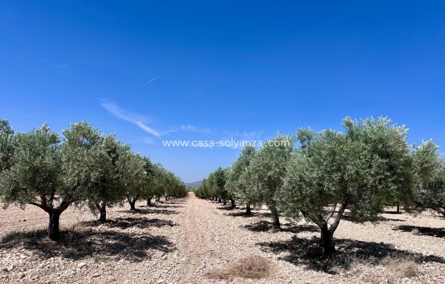 Land - Resale - Monóvar - Inland