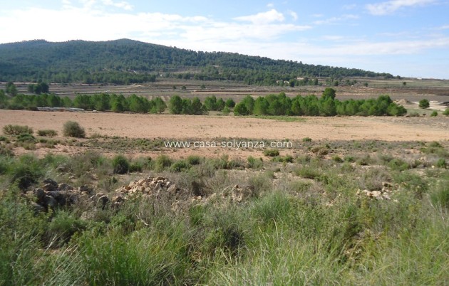 Land - Resale - Monóvar - Monòver - Monóvar - Monòver Centro