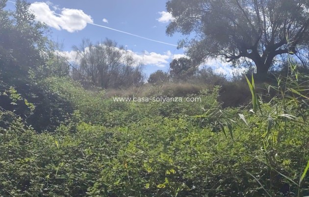 Land - Resale - Moratalla - Moratalla