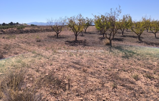 Land - Resale - Pinoso - Inland
