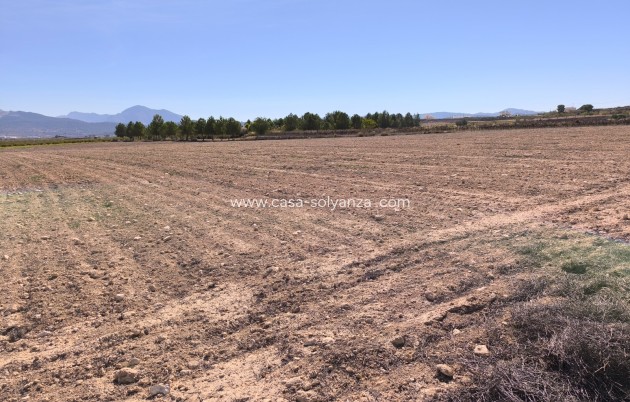 Land - Resale - Pinoso - Inland