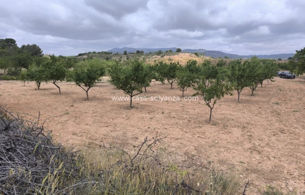 Land - Resale - Pinoso - Pinoso Centro