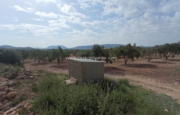 Land - Resale - Salinas - Salinas Centro